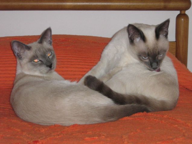 Insieme (ma non sempre...)