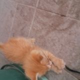 Una giornata di scoperte