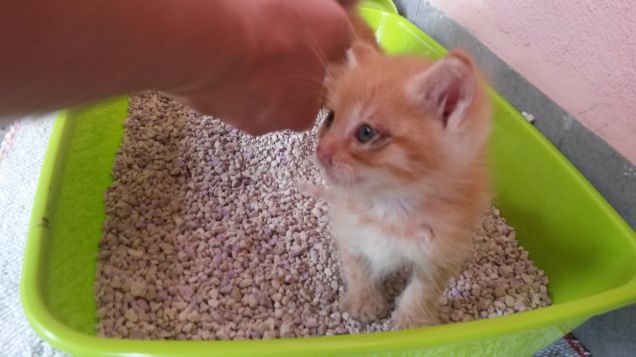 momenti di intimità 