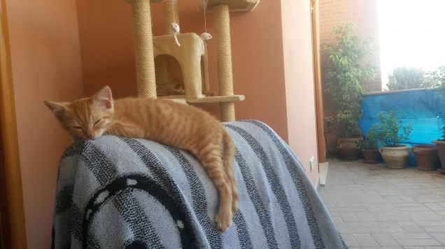 Sognando la spiaggia