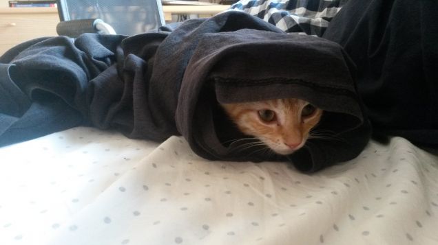 Quando la maglietta si muove da sola...