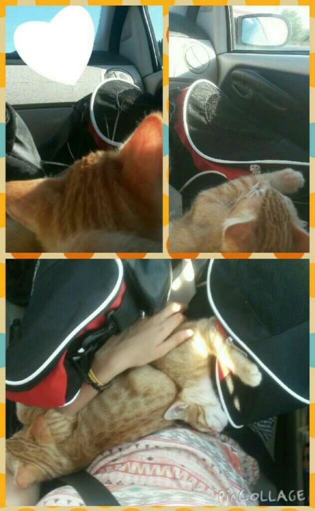 Le vacanze con voi sono le migliori 