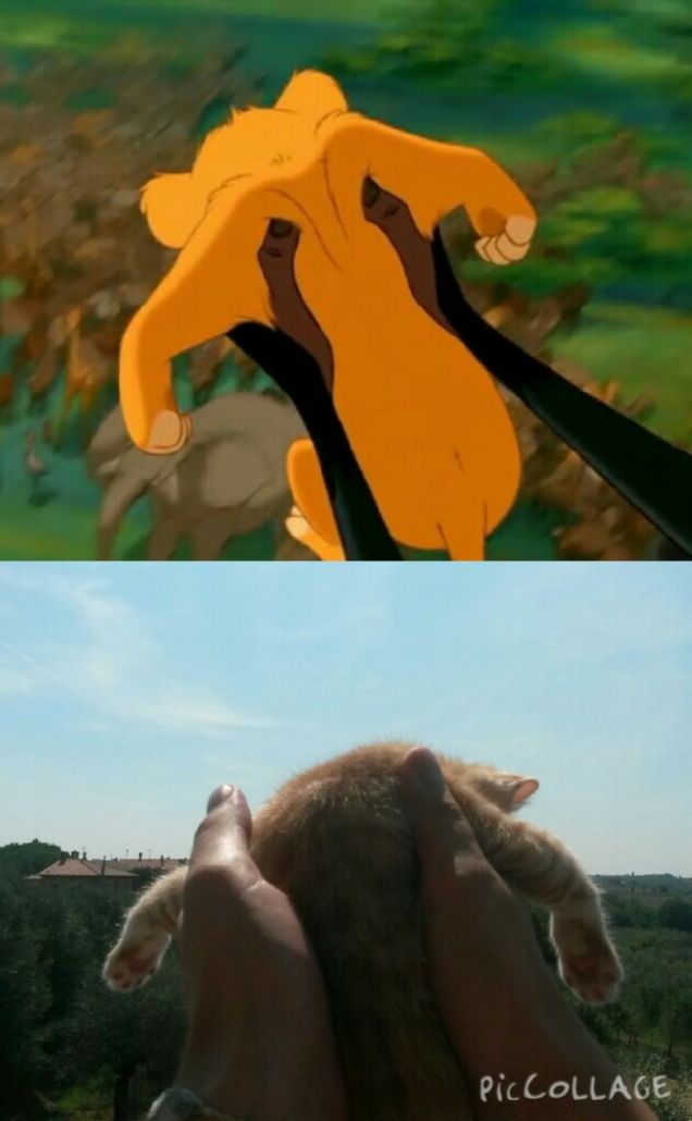 Mi ricordi qualcuno...