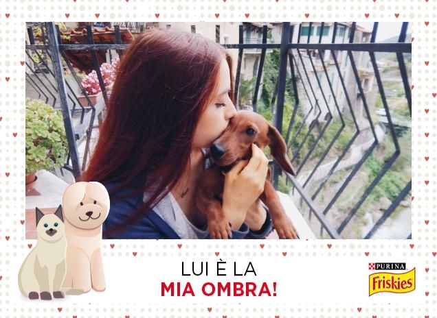 L'amore della mia vita 