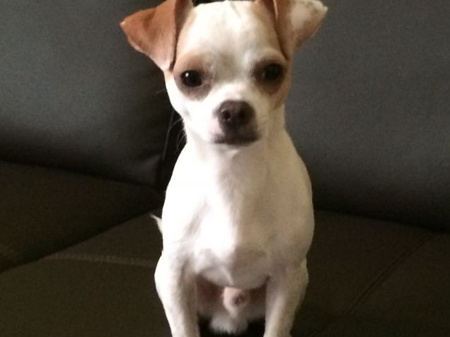 Il giorno del mio primo compleanno