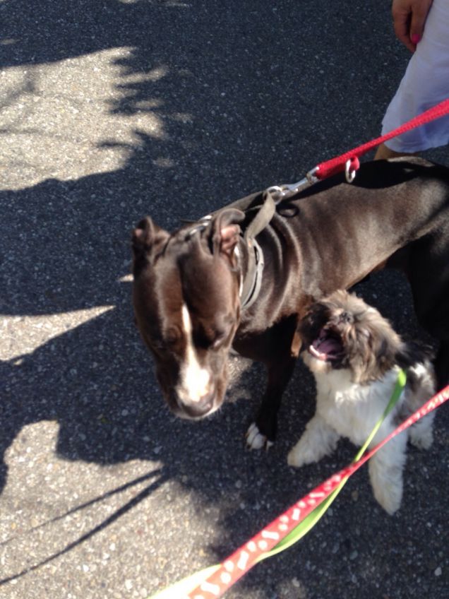 Uno sbadiglio o una risata?