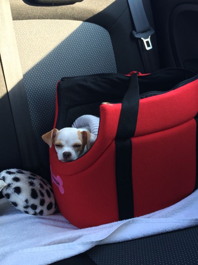 La mia culla perfetta...