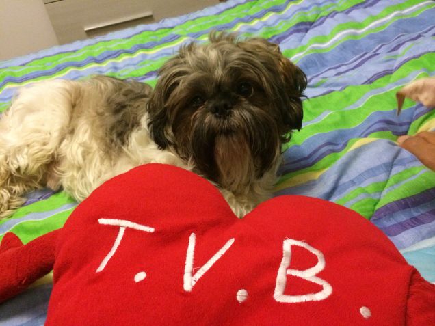 Un anno insieme a Bilbo