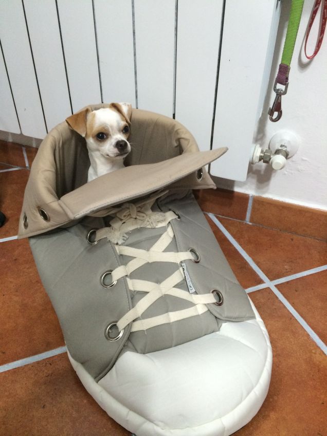 La nuova cuccia per la nanna!