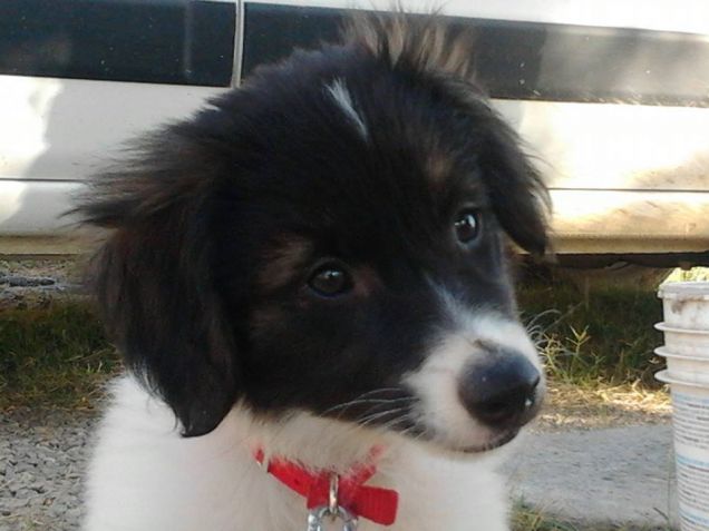 Eddy di qualche mese soltanto 