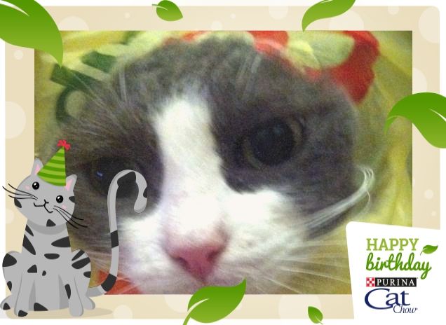 Occhio alla spesa Perla