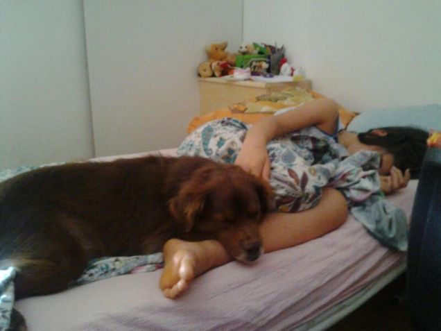 il sonno di Calamita