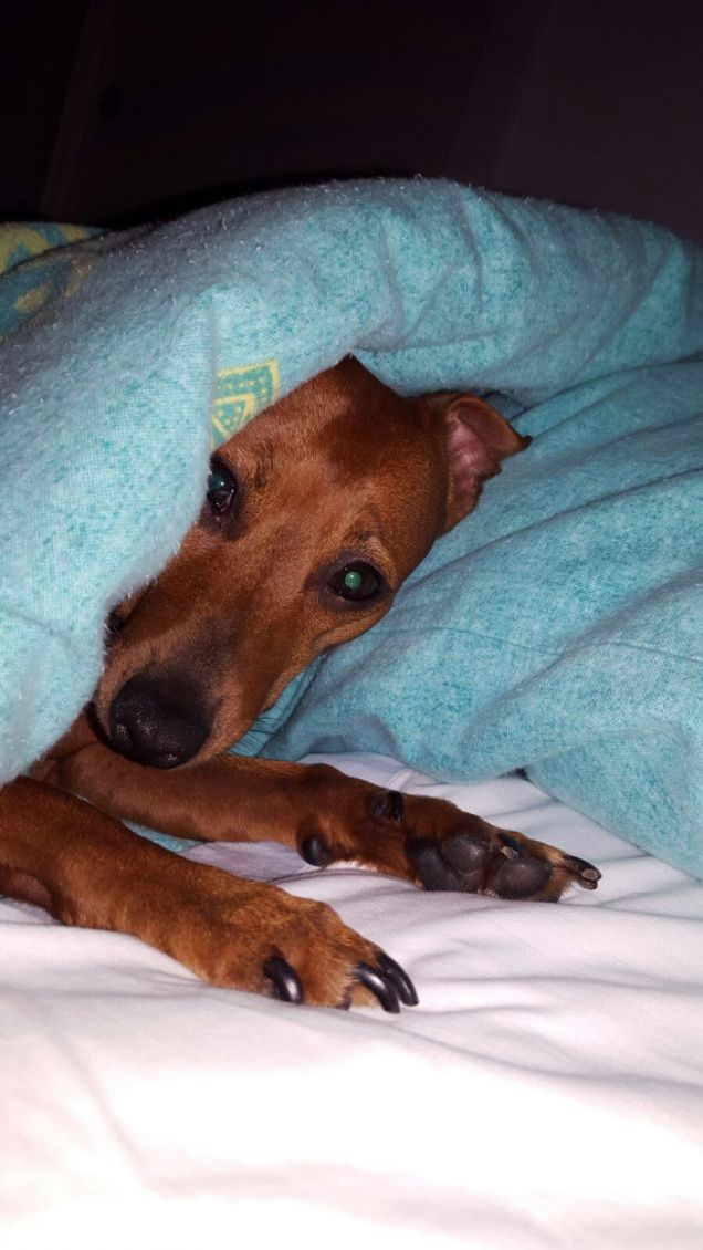 Chanel ho tanto freddo.