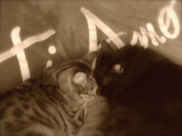 Ma qui manco solo io!!