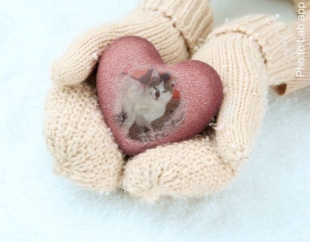 sempre nel mio cuore