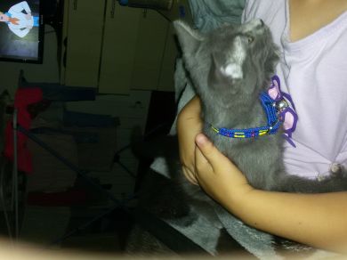Jerry