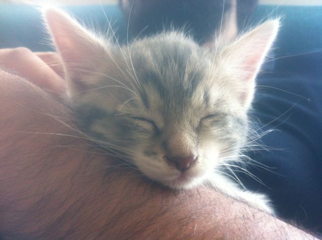 Stefania & Gandalf coccole amore e fantasia 