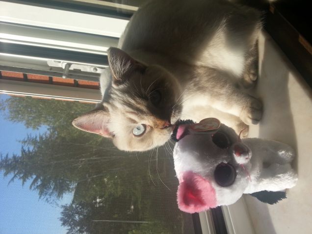 Neve e il suo nuovo amico