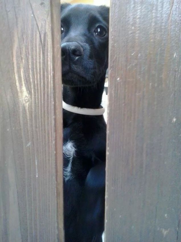 amore prima della liberta!