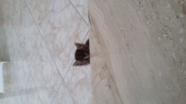 più piccola del gradino!