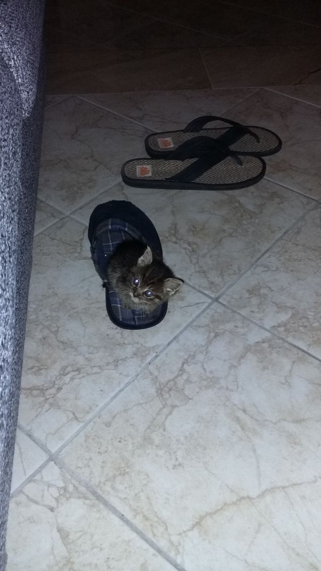 Minù nella ciabattona!!