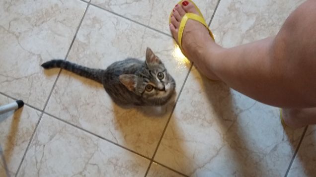 Minù vuole mangiare