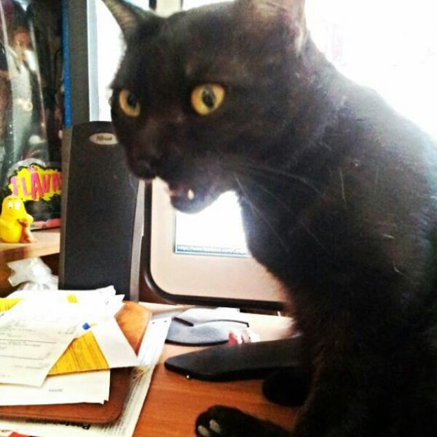 beh che avete da guardare?