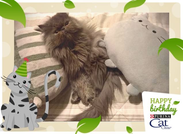 Tanti auguri da Mew! 