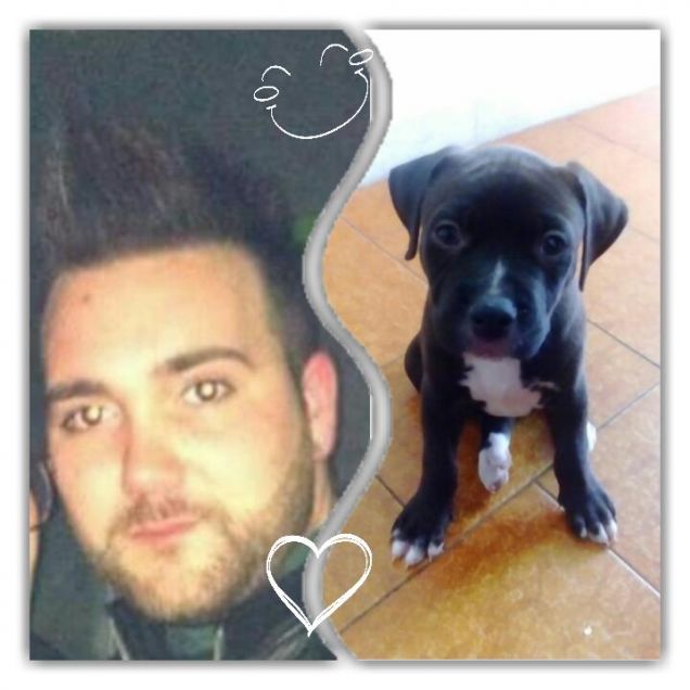 Trova le differenze...