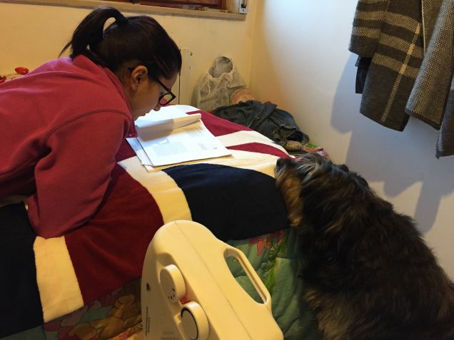 insieme anche nello studio