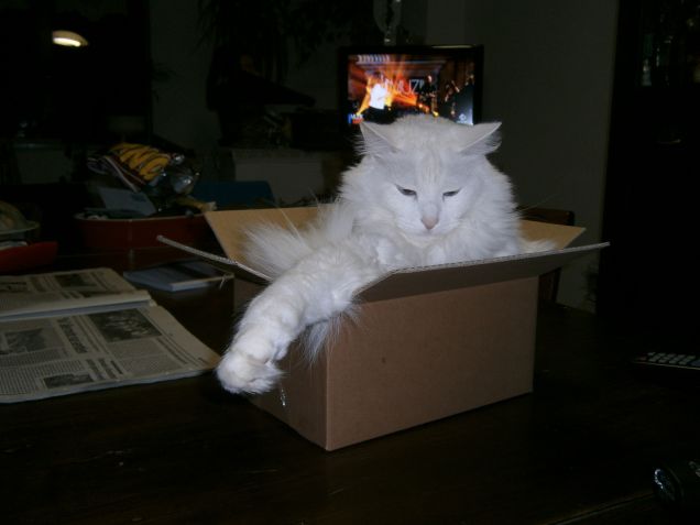 Che belle queste scatole