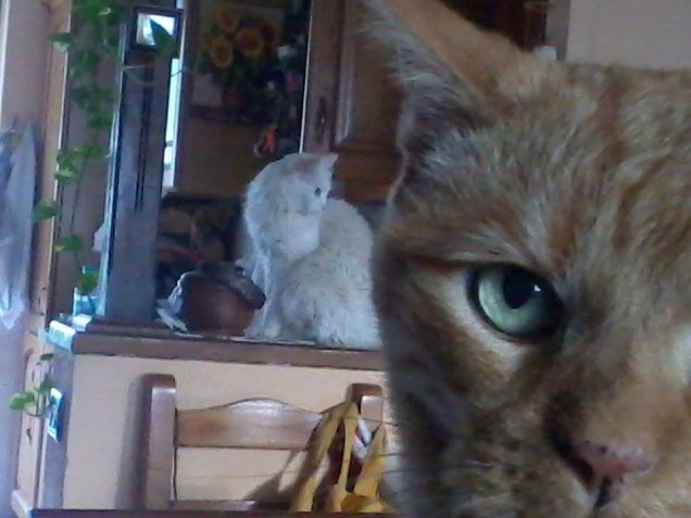 Chi vuoi fotografare?!