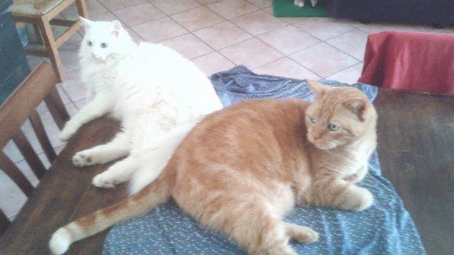 Ma come ci vogliamo bene :-)