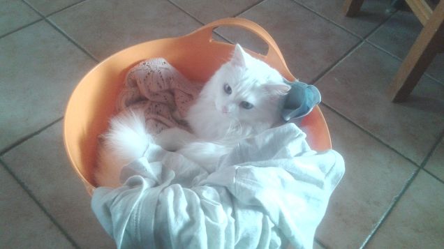 perla e giorno di bucato ;-)