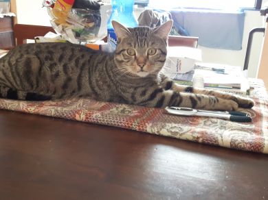 Romeo