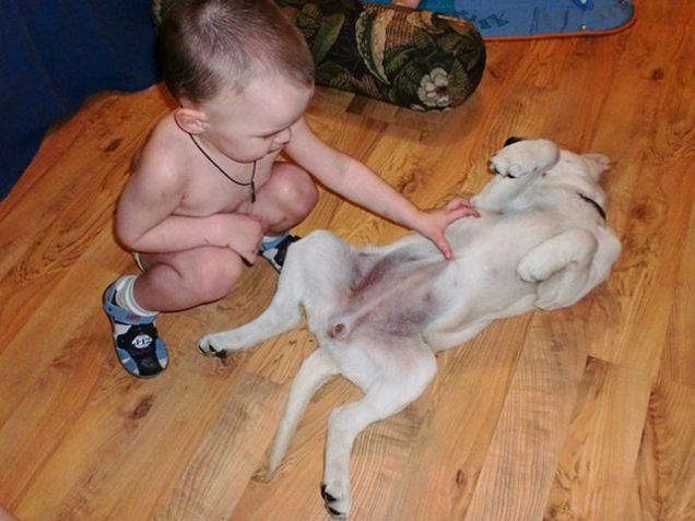 Carattere molto simile