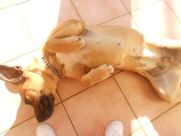 Giocherellona come sempre!! Gigante miaa 