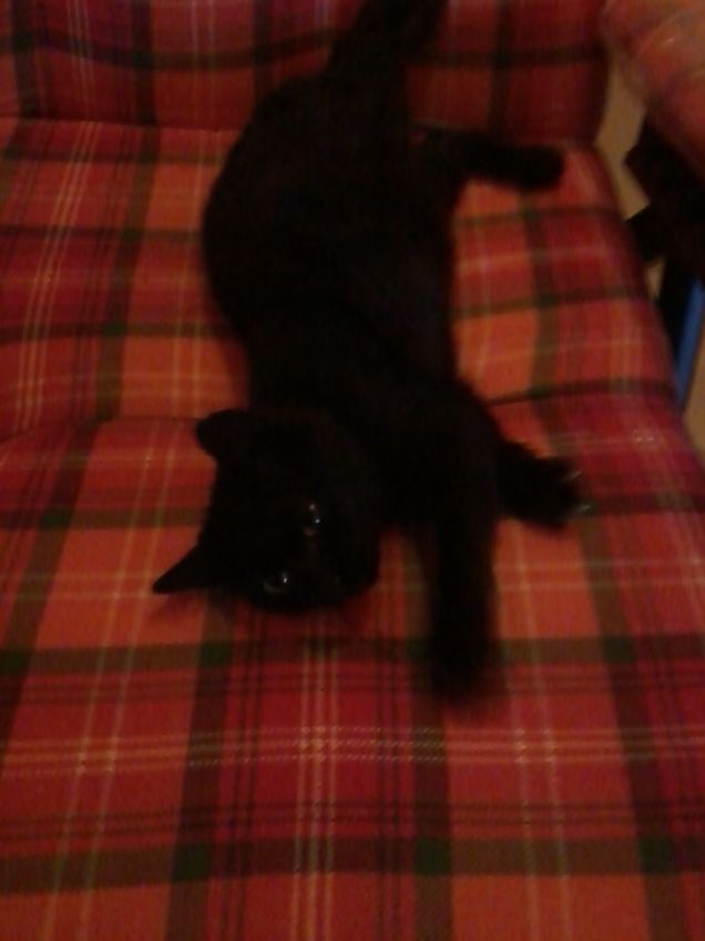 Lunetta a soli 3 mesi 