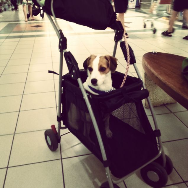 Al centro commerciale