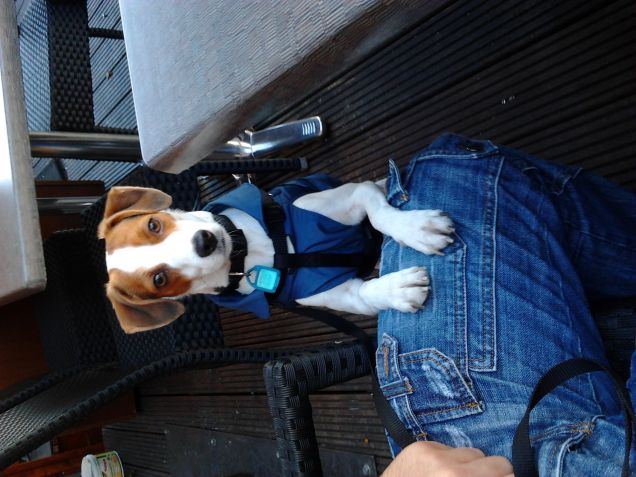 In vacanza in Belgio