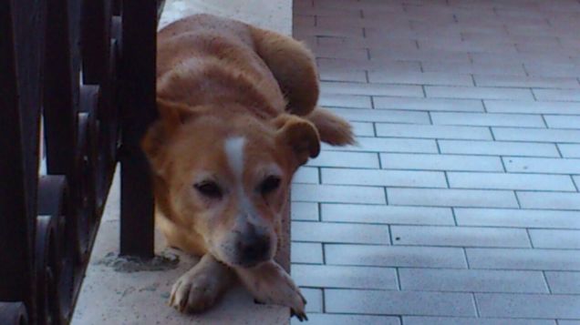 Finalmente un po' di pace!!!