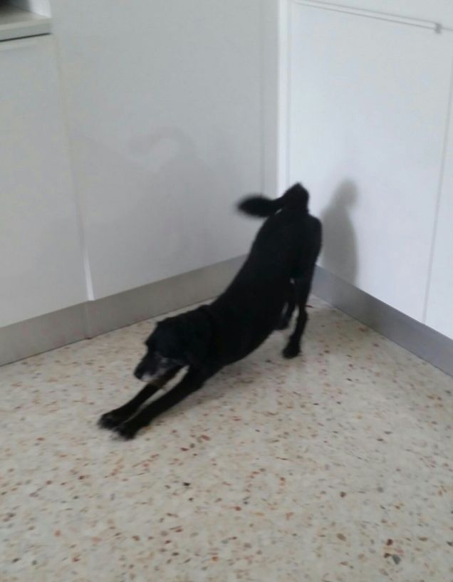 aaammmhhhhhh     che sonno!!!