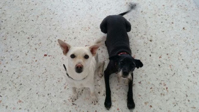 amici per sempre ❤❤❤