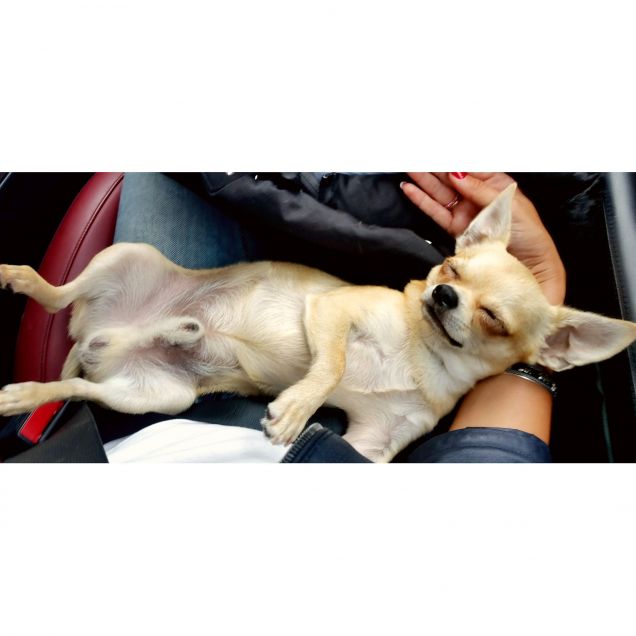 Dormire, il mio passatempo preferito