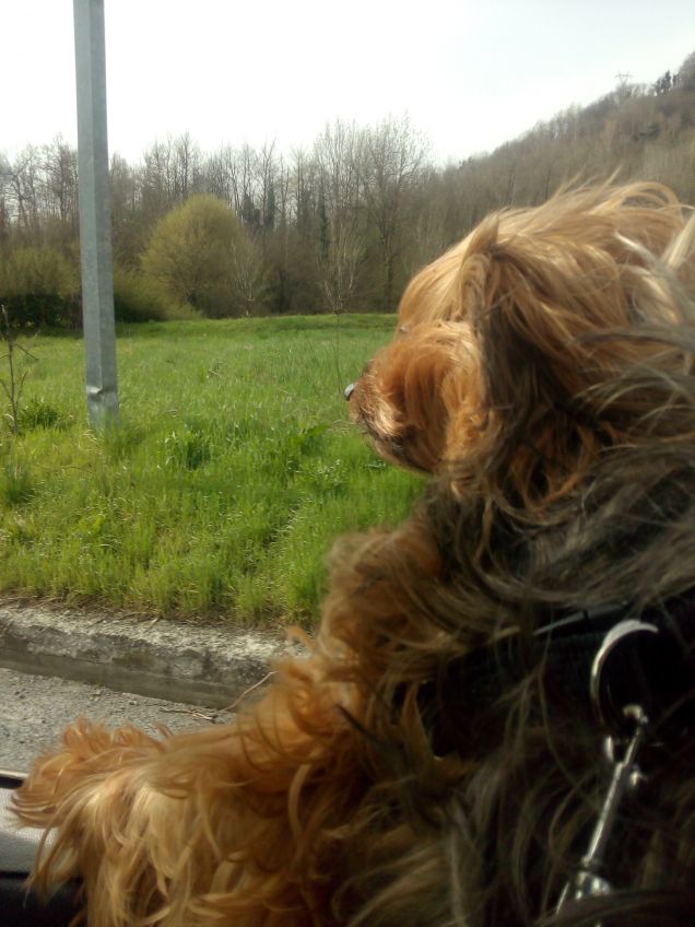 Questa si che e avventura