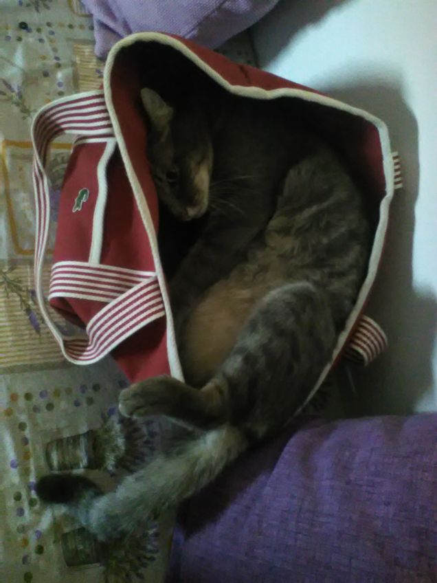 Dormo ovunque, non mi spaventa nulla