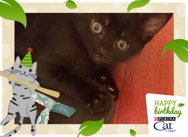 La nuova arrivata Kira 