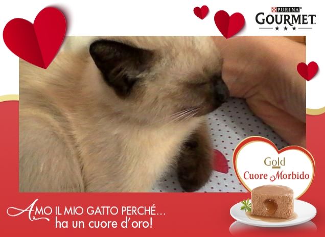 Meraviglioso amore mio ❤️