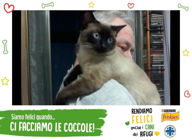 Matisse, l'amore mio