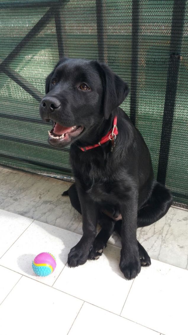 primavera vieni presto...